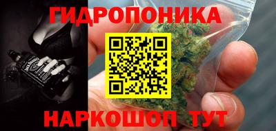 спиды Свободный