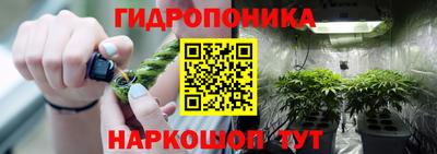 ПСИЛОЦИБИНОВЫЕ ГРИБЫ Рыбинск