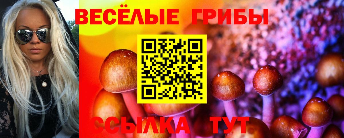 Галлюциногенные грибы ЛСД  Псилоцибиновые грибы MAGIC MUSHROOMS  Вход с VPN  наркота  Партизанск 