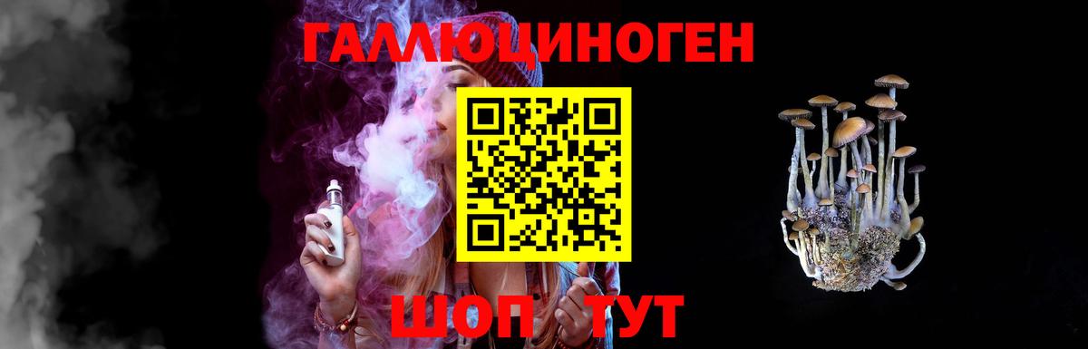 Галлюциногенные грибы Psilocybe Партизанск